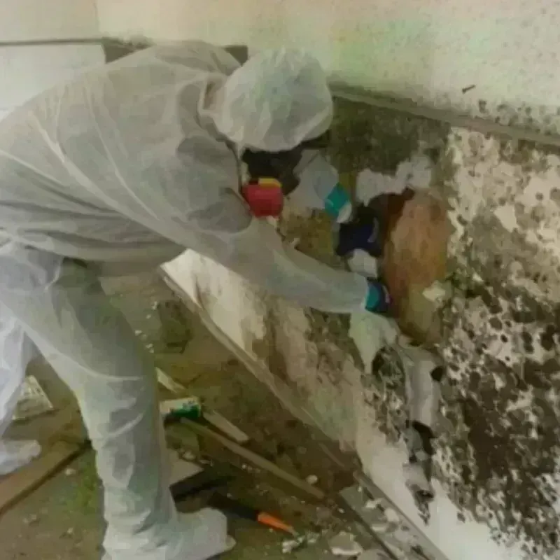 Mold Remediation and Removal in Stratham Station, NH